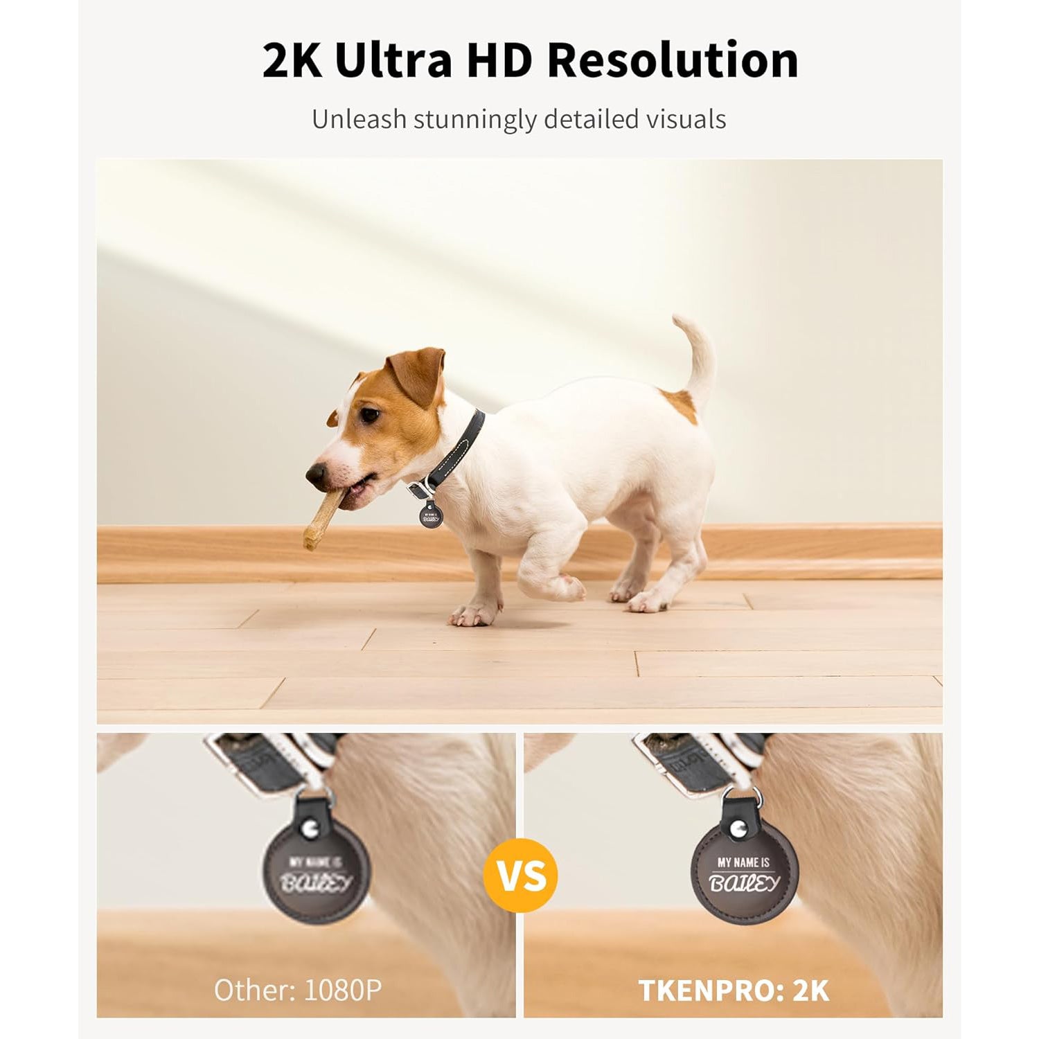 Interactive pet camera with treat release feature for dogs