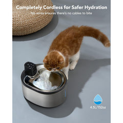 Cat drinking fountain with built-in filter for healthy hydration