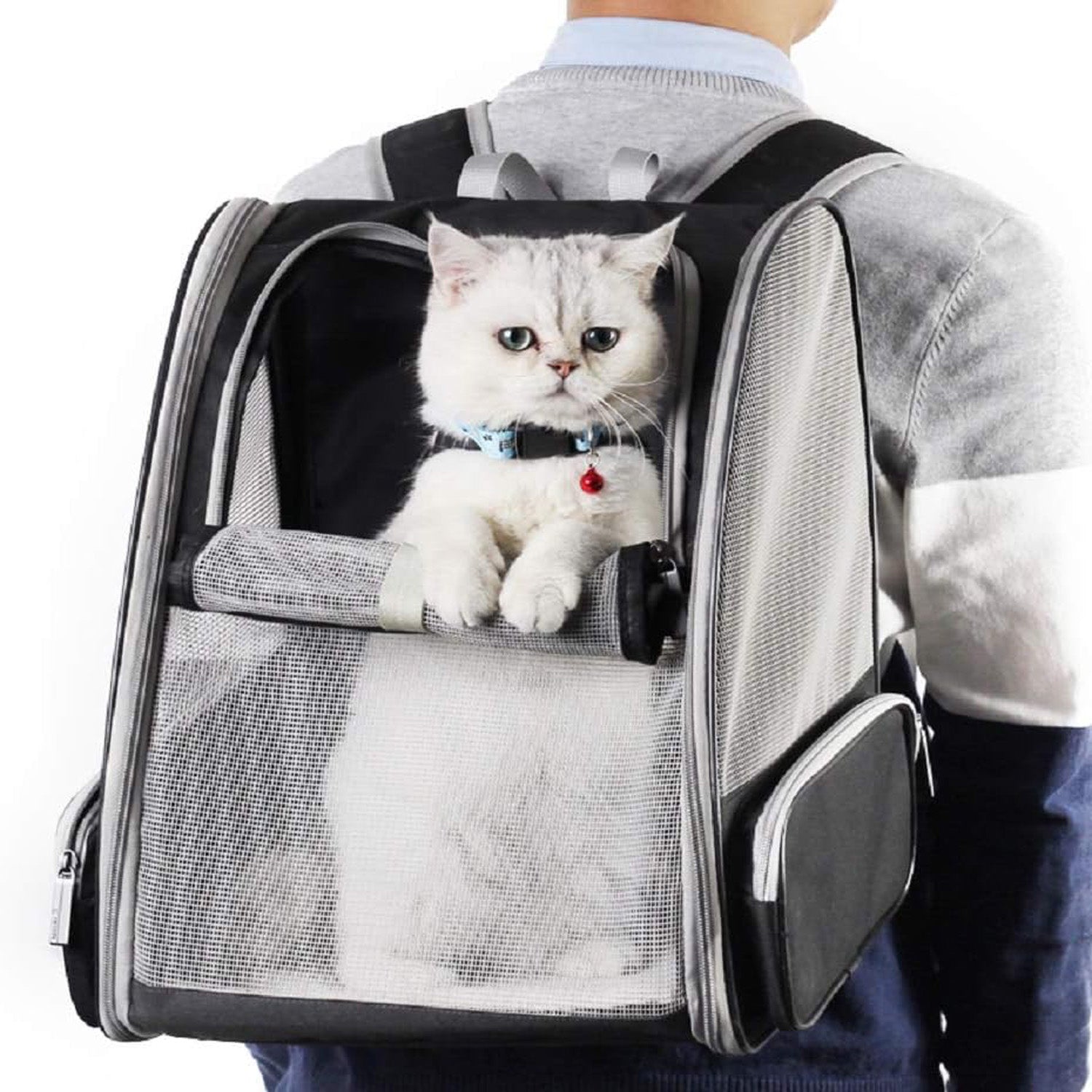 Dog and cat travel backpack with soft padded straps and adjustable harness, providing a secure and comfortable experience for pet owners and their furry friends