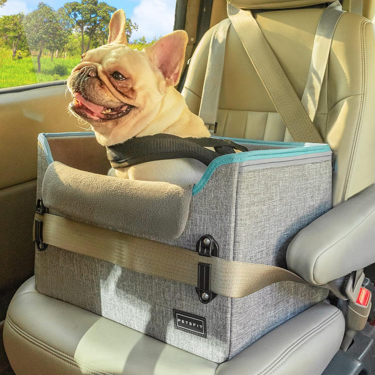 Dog car seat for small dogs, designed for optimal safety and comfort during travel, featuring a sturdy construction and adjustable straps for a secure fit in your vehicle