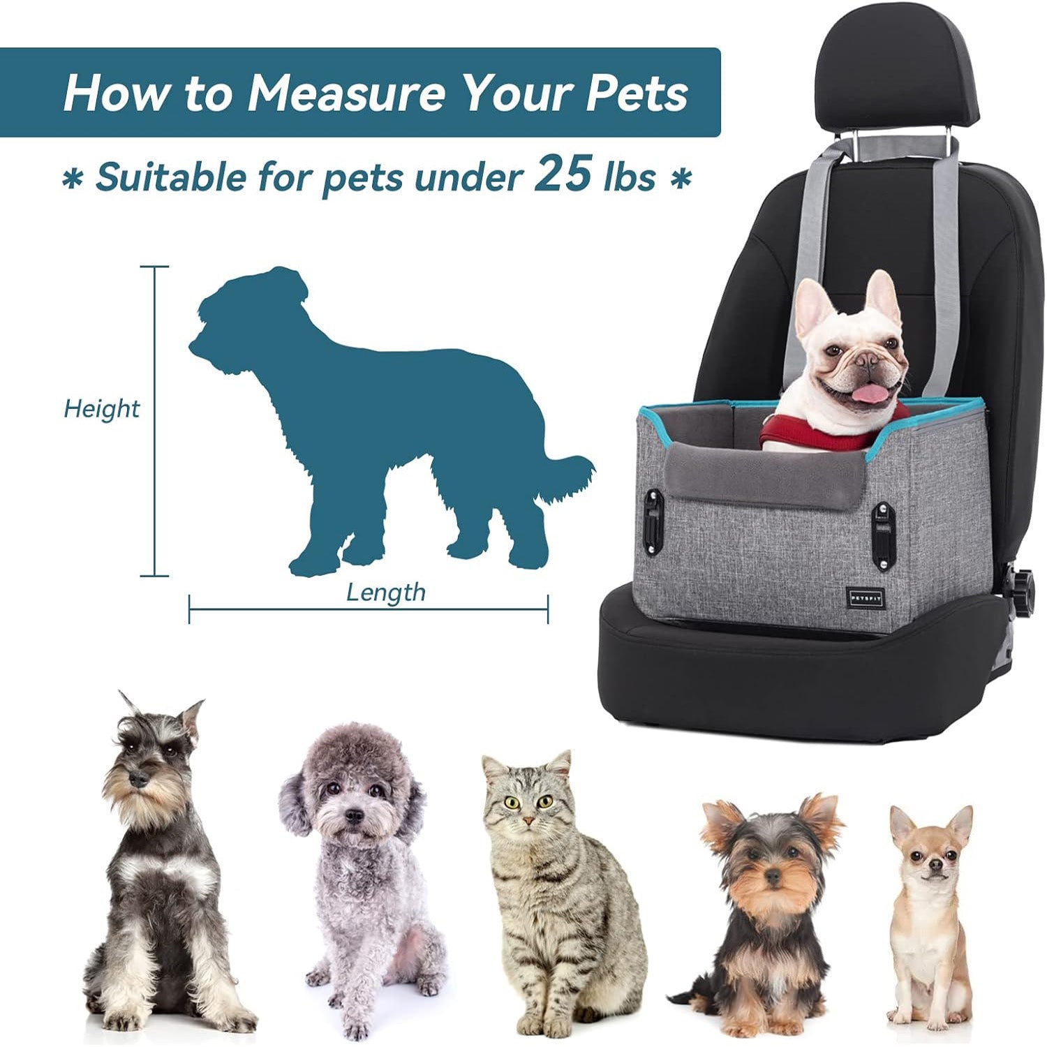 Easy-to-install dog car seat for small dogs, designed to provide comfort and security during travel, with built-in side pockets for storing pet essentials