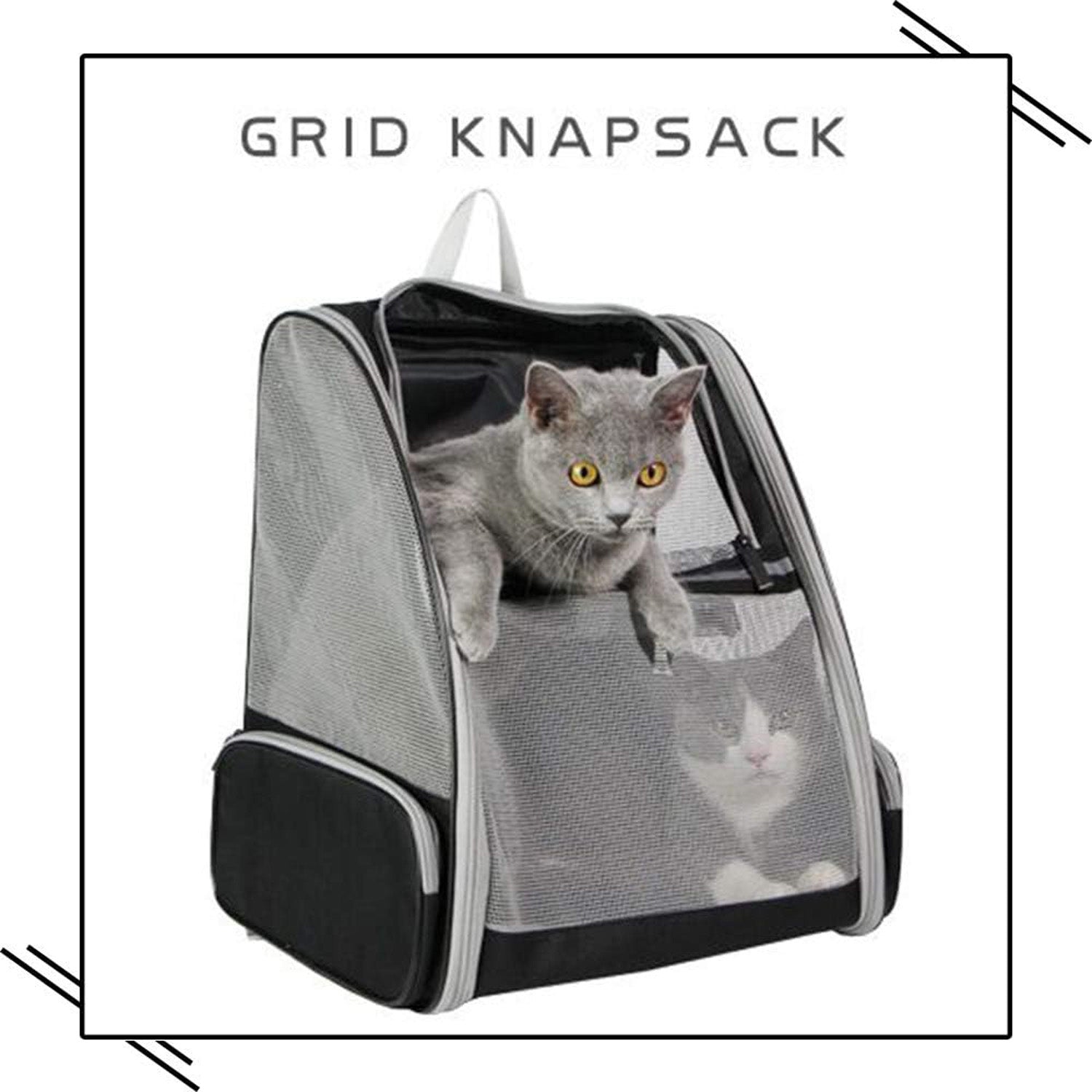 Hiking backpack for pets, featuring lightweight construction, breathable panels, and reinforced safety buckles for pet security during outdoor activities