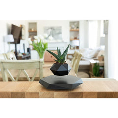 Indoor plant display featuring a levitating pot with LED lights, perfect for illuminating your favorite flowers or greenery