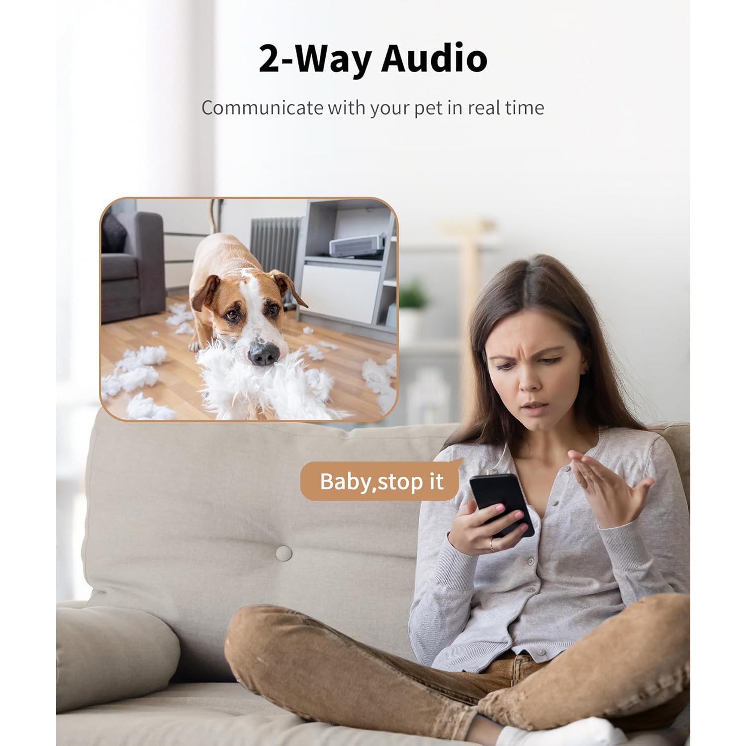 Pet camera with two-way audio and treat dispensing function