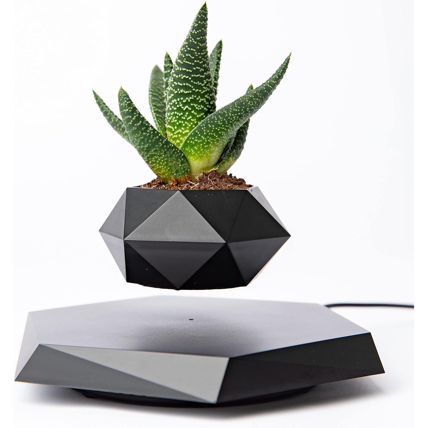 Levitating plant pot displayed on a wooden table showcasing a modern design with magnetic levitation technology for indoor plants