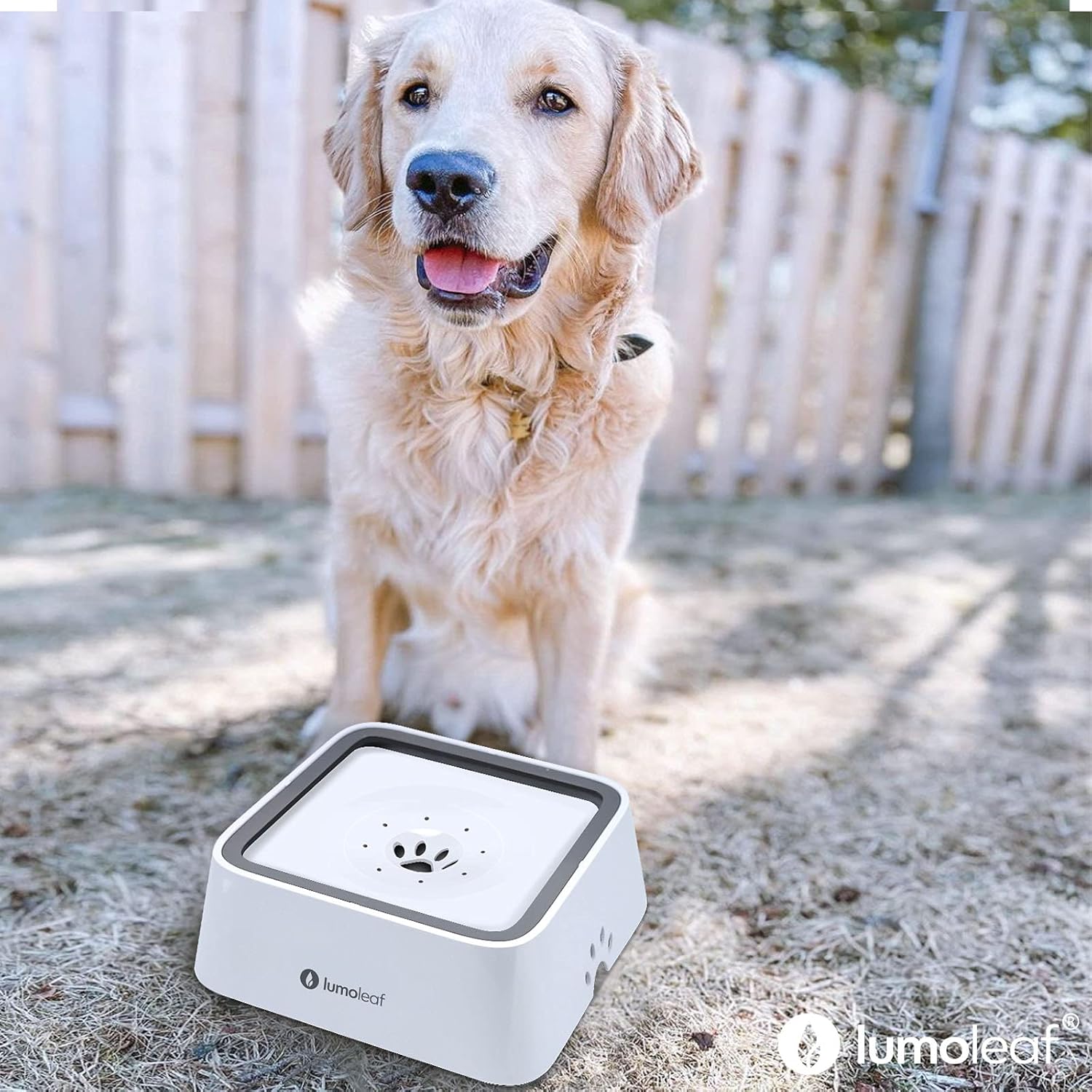 Automatic dog water bowl with built-in water dispenser, designed for easy refills and continuous fresh water supply for dogs