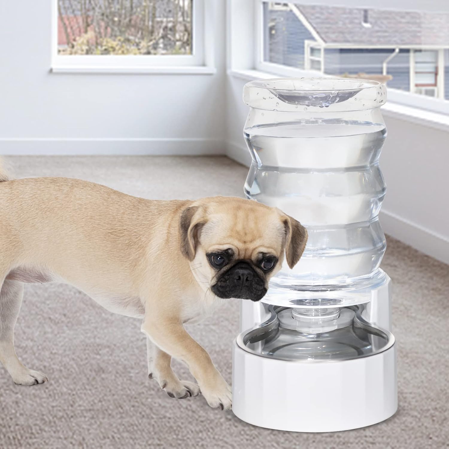 Eco-friendly 6L gravity pet waterer, made from non-toxic materials, perfect for environmentally-conscious pet owners who want a sustainable hydration solution for their dogs and cats